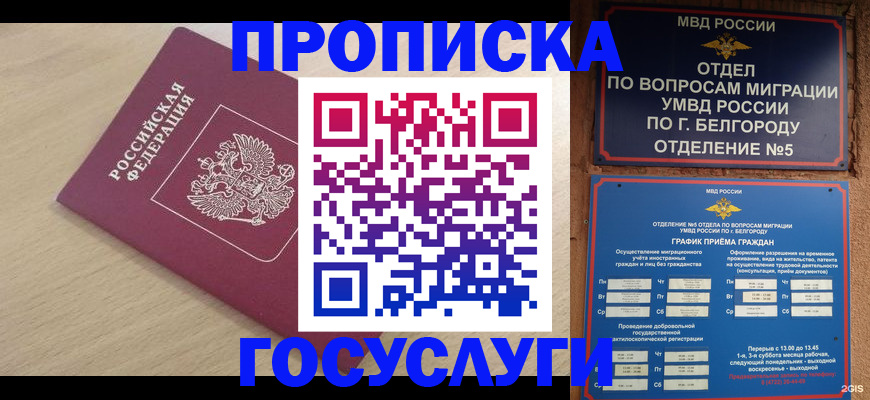 прописка законно в Тихорецке